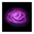 Purple Floating Light Up Flowers